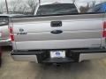 2014 Ingot Silver Ford F150 STX SuperCrew  photo #4