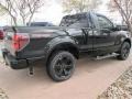 Tuxedo Black - F150 FX2 Tremor Regular Cab Photo No. 8