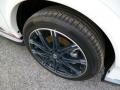 2014 Nissan Juke NISMO AWD Wheel and Tire Photo