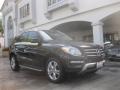 Black - ML 350 4Matic Photo No. 1