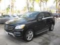 Black - ML 350 4Matic Photo No. 5