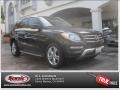 Black - ML 350 4Matic Photo No. 26