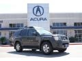 Night Armor Dark Gray 2008 Nissan Xterra SE