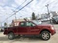 2014 Sunset Ford F150 STX SuperCab 4x4  photo #4