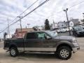 2014 Sterling Grey Ford F150 XLT SuperCrew 4x4  photo #4