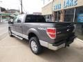 2014 Sterling Grey Ford F150 XLT SuperCrew 4x4  photo #6