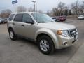 Gold Leaf Metallic - Escape XLS 4WD Photo No. 2