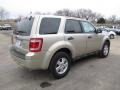 Gold Leaf Metallic 2012 Ford Escape XLS 4WD Exterior
