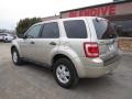 Gold Leaf Metallic - Escape XLS 4WD Photo No. 4