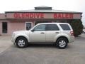 Gold Leaf Metallic - Escape XLS 4WD Photo No. 14