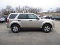 Gold Leaf Metallic - Escape XLS 4WD Photo No. 15