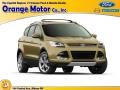 Karat Gold - Escape SE 1.6L EcoBoost 4WD Photo No. 1
