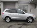 Radiant Silver - Santa Fe GLS 4WD Photo No. 2