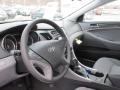 Iridescent Silver Blue Pearl - Sonata GLS Photo No. 9