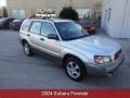 Platinum Silver Metallic - Forester 2.5 XS Photo No. 1