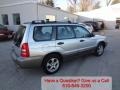 Platinum Silver Metallic - Forester 2.5 XS Photo No. 3
