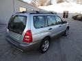 Platinum Silver Metallic - Forester 2.5 XS Photo No. 11