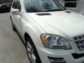 Arctic White - ML 350 4Matic Photo No. 24