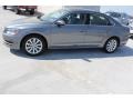 Platinum Gray Metallic - Passat 2.5L SEL Photo No. 5