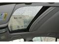 Graphite Luster Metallic - TL  Photo No. 42