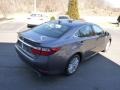 Nebula Gray Pearl - ES 350 Photo No. 4
