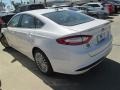 White Platinum - Fusion Hybrid Titanium Photo No. 2