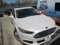 White Platinum - Fusion Hybrid Titanium Photo No. 5