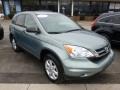 Opal Sage Metallic - CR-V SE 4WD Photo No. 1