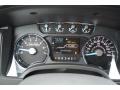 Limited Marina Blue Leather Gauges Photo for 2014 Ford F150 #91618656