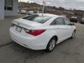Shimmering White - Sonata GLS Photo No. 8