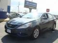 Indigo Blue Pearl - Sonata GLS Photo No. 1