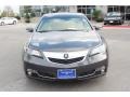 Graphite Luster Metallic - TL Advance Photo No. 2