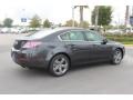 Graphite Luster Metallic - TL Advance Photo No. 7