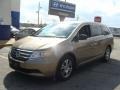 Mocha Metallic 2012 Honda Odyssey EX