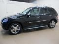 Obsidian Black Metallic - ML 350 4Matic Photo No. 4