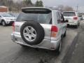 Titanium Metallic - RAV4 4WD Photo No. 6