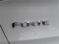 2014 Kia Forte EX Badge and Logo Photo