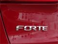 2014 Crimson Red Kia Forte LX  photo #10