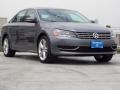 Platinum Gray Metallic - Passat TDI SE Photo No. 1