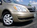 2008 Sonora Gold Hyundai Entourage GLS  photo #16