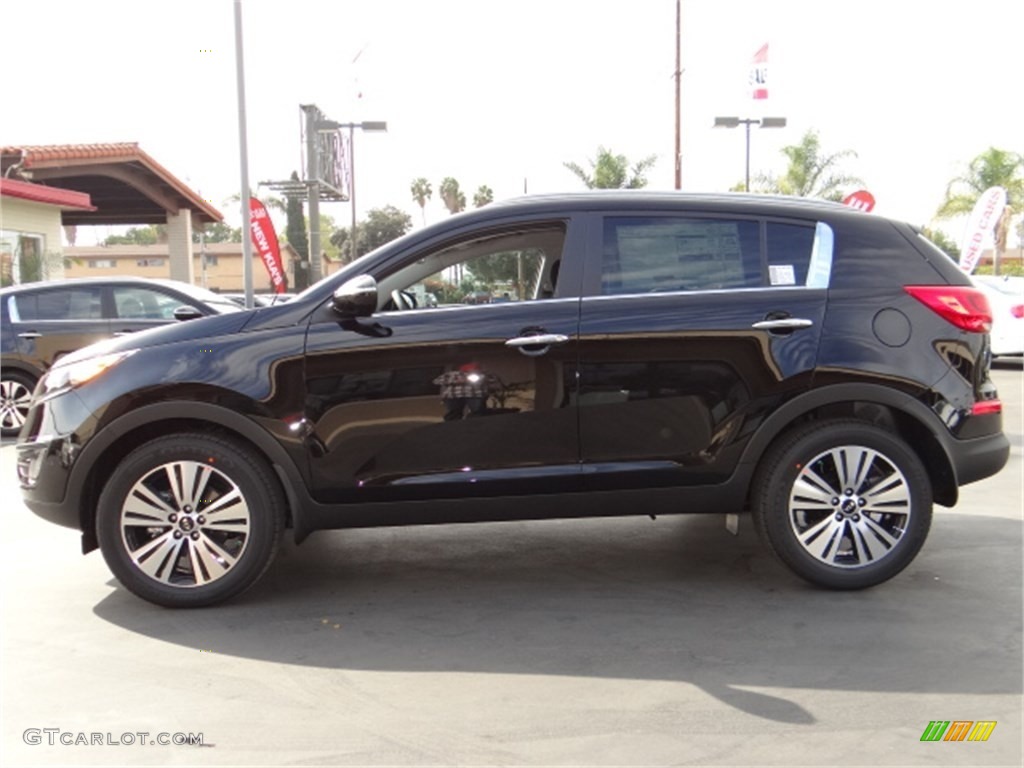 2014 Sportage EX - Black Cherry / Black photo #5