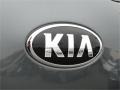 2014 Sage Green Kia Sportage LX AWD  photo #7