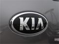 2014 Mineral Silver Kia Sportage LX  photo #7