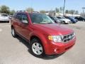 Toreador Red Metallic 2012 Ford Escape XLT