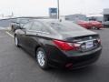 Phantom Black Metallic - Sonata GLS Photo No. 4