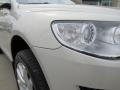 White Gold Metallic - Touareg 2 VR6 Photo No. 12