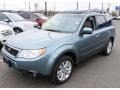 2013 Sage Green Metallic Subaru Forester 2.5 X Premium  photo #3