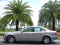 Pewter Metallic - E 320 BlueTEC Sedan Photo No. 1