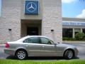 Pewter Metallic - E 320 BlueTEC Sedan Photo No. 5