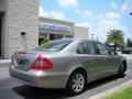 Pewter Metallic - E 320 BlueTEC Sedan Photo No. 6
